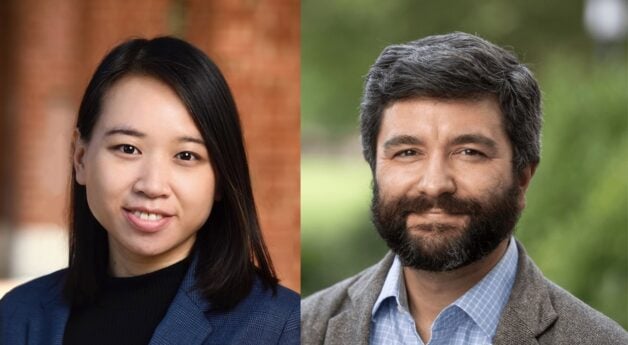 Liu and Lippincott Win DSAI Seed Grants for Education and Archaeology AI Research